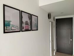 Haig 162 (D15), Apartment #507295501